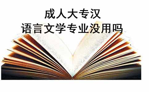 成人大专汉语言文学专业没用吗