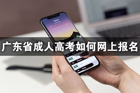 广东省成人高考如何网上报名