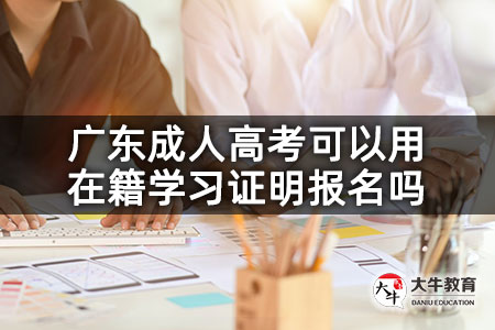 广东成人高考可以用在籍学习证明报名吗