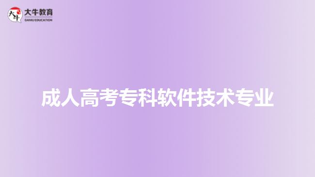 成人高考专科软件技术专业