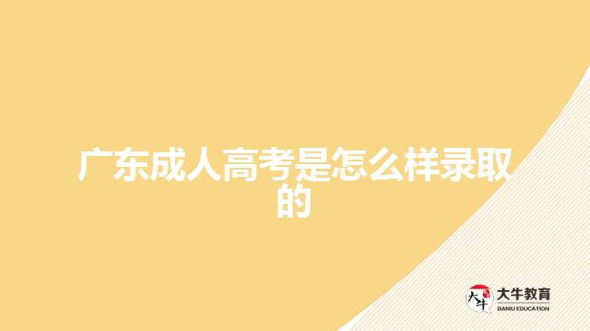 广东成人高考是怎么样录取的