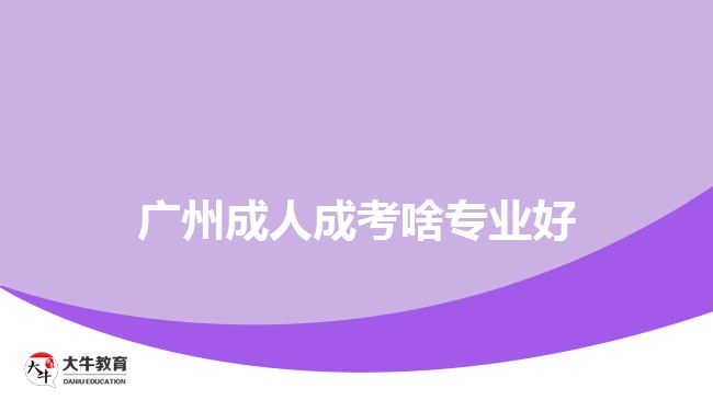 广州成人成考啥专业好