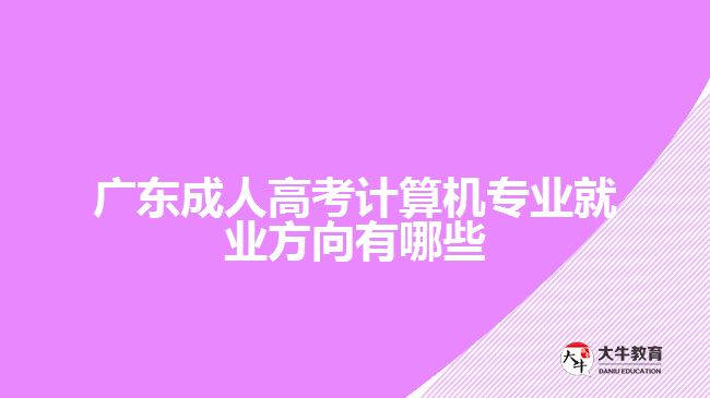 广东成人高考计算机专业就业方向有哪些