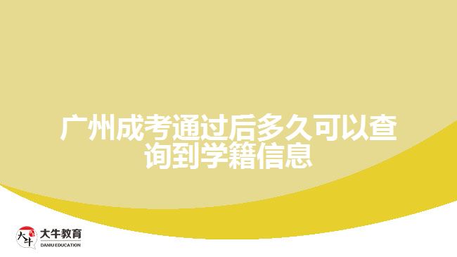 广州成考通过后多久可以查询到学籍信息