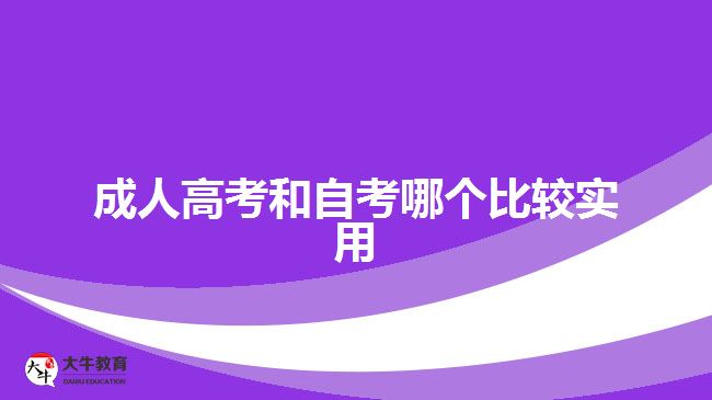 成人高考和自考哪个比较实用