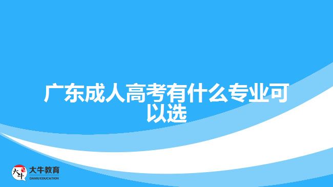 广东成人高考有什么专业可以选