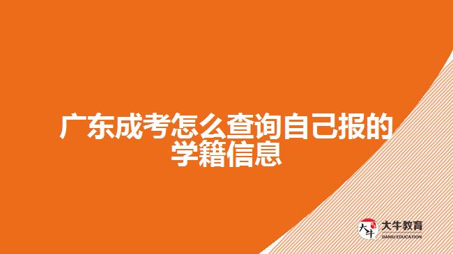 广东成考怎么查询自己报的学籍信息