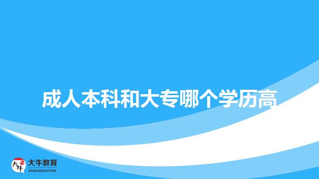 成人本科和大专哪个学历高