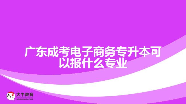 广东成考电子商务专升本可以报什么专业