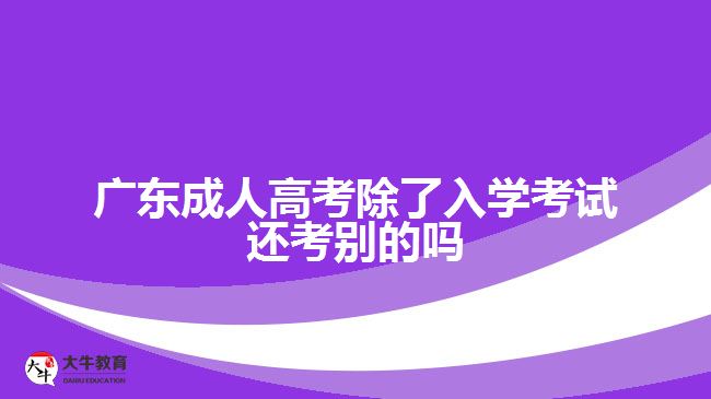 广东成人高考除了入学考试还考别的吗