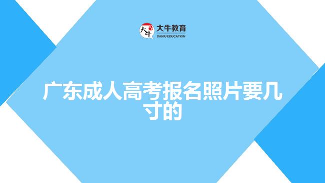 广东成人高考报名照片要几寸的