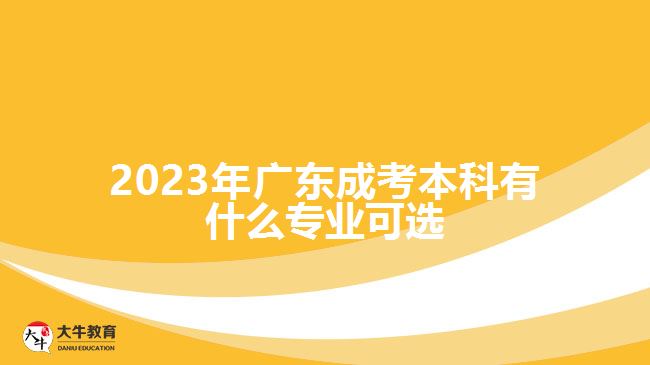 2023年广东成考本科有什么专业可选