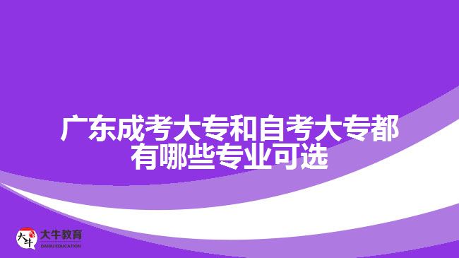 广东成考大专和自考大专都有哪些专业可选