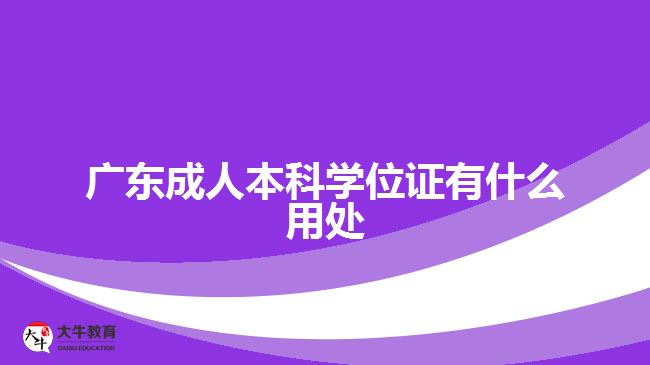 广东成人本科学位证有什么用处