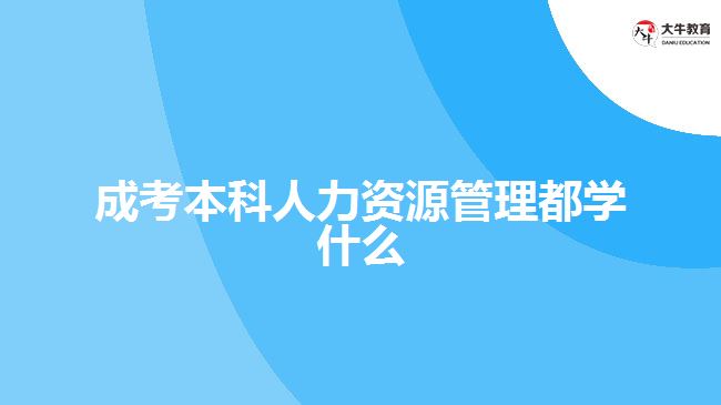 成考本科人力资源管理都学什么