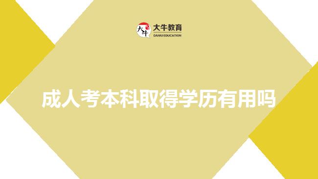 成人考本科取得学历有用吗