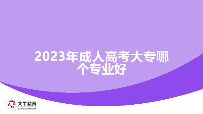 2023年成人高考大专哪个专业好