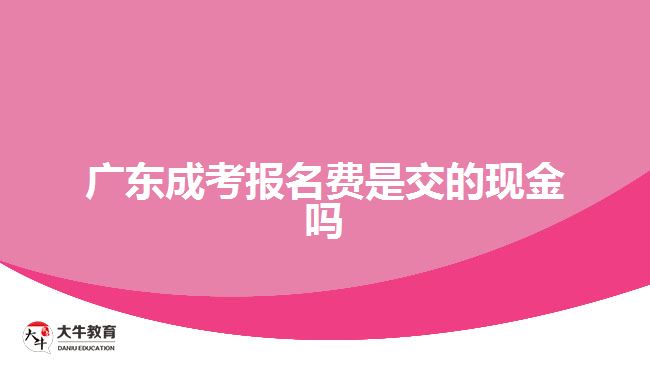 广东成考报名费是交的现金吗