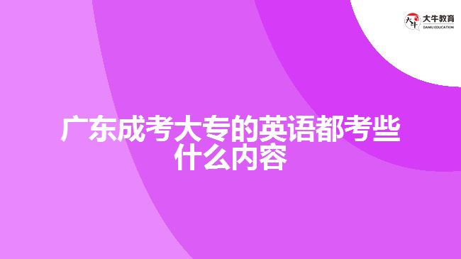 广东成考大专的英语都考些什么内容