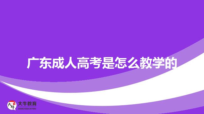 广东成人高考是怎么教学的