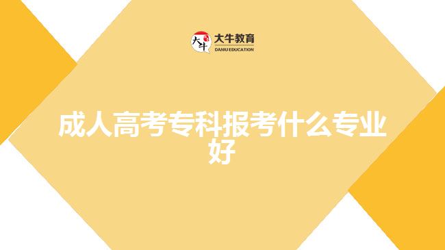 成人高考专科报考什么专业好