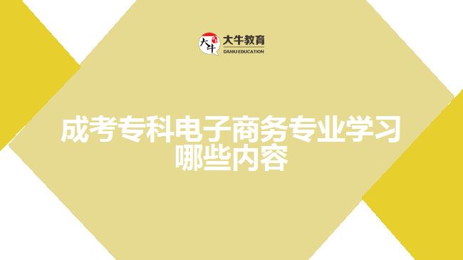 成考专科电子商务专业学习哪些内容