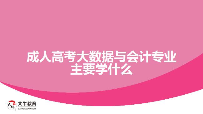 成人高考大数据与会计专业主要学什么