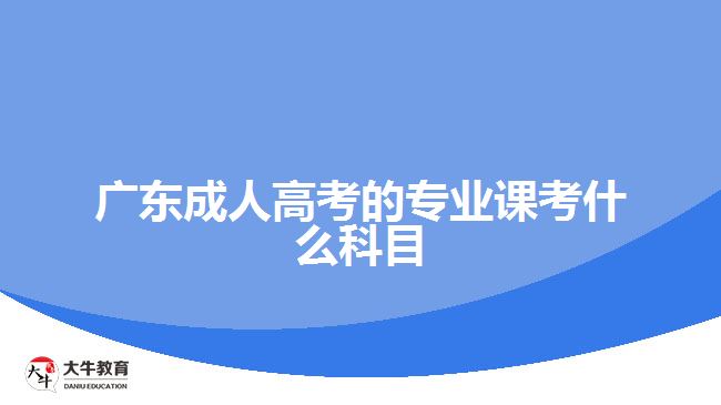 广东成人高考的专业课考什么科目