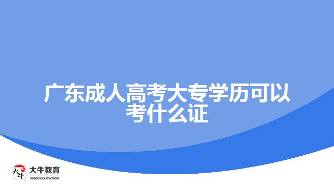 广东成人高考大专学历可以考什么证