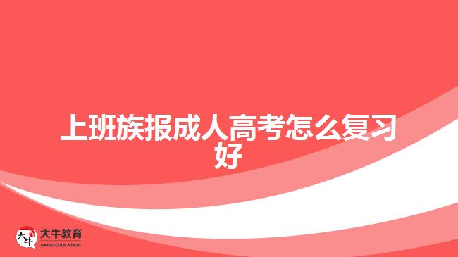 上班族报成人高考怎么复习好