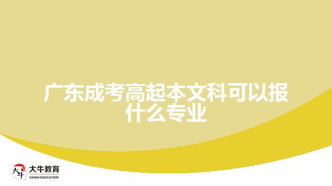 广东成考高起本文科可以报什么专业