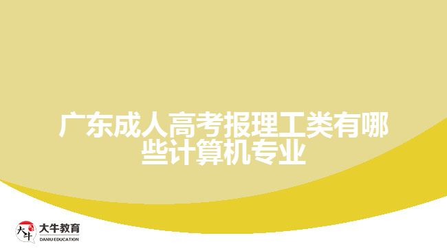 广东成人高考报理工类有哪些计算机专业