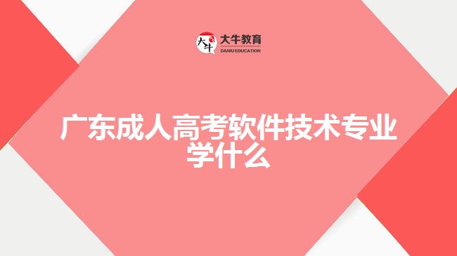 广东成人高考软件技术专业学什么