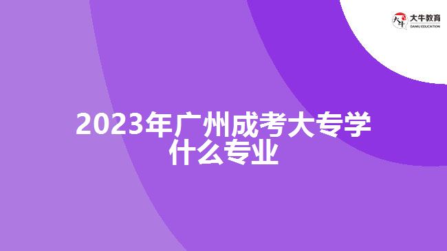 2023年广州成考大专学什么专业