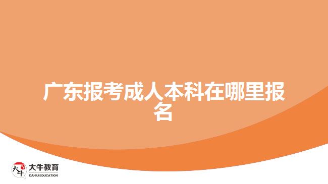 广东报考成人本科在哪里报名