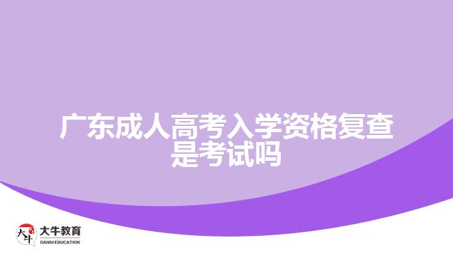 广东成人高考入学资格复查是考试吗