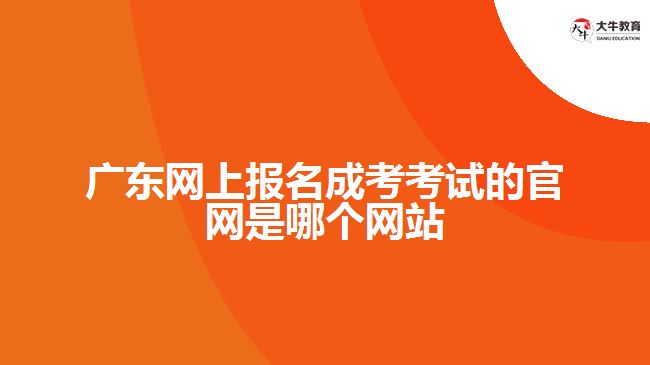 广东网上报名成考考试的官网是哪个网站