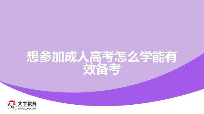 想参加成人高考怎么学能有效备考