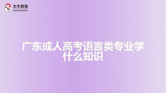 广东成人高考语言类专业学什么知识