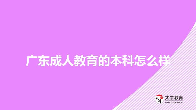 广东成人教育的本科怎么样