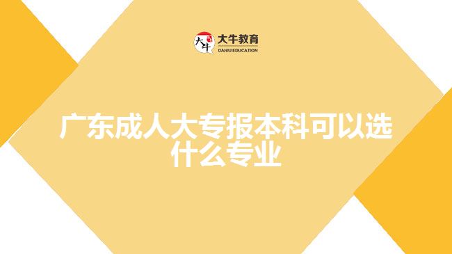 广东成人大专报本科可以选什么专业