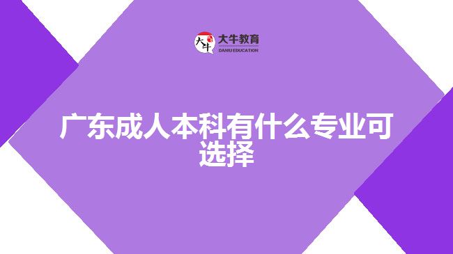 广东成人本科有什么专业可选择