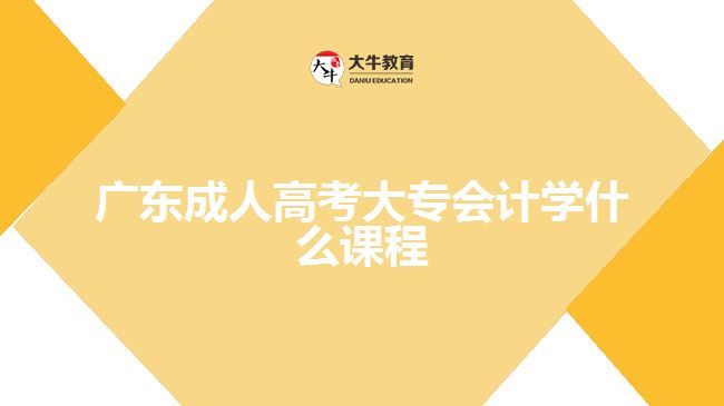 广东成人高考大专会计学什么课程