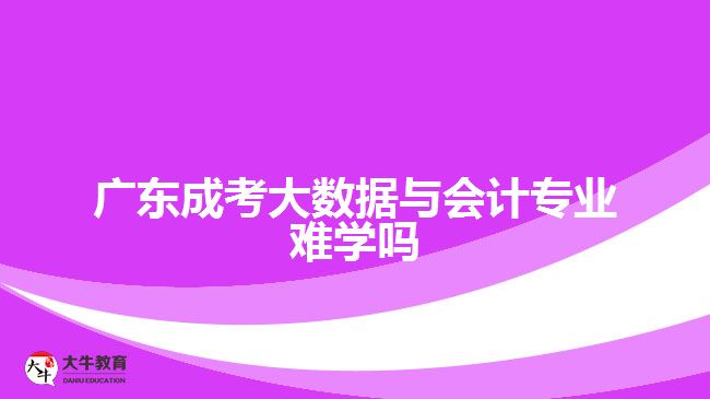 广东成考大数据与会计专业难学吗